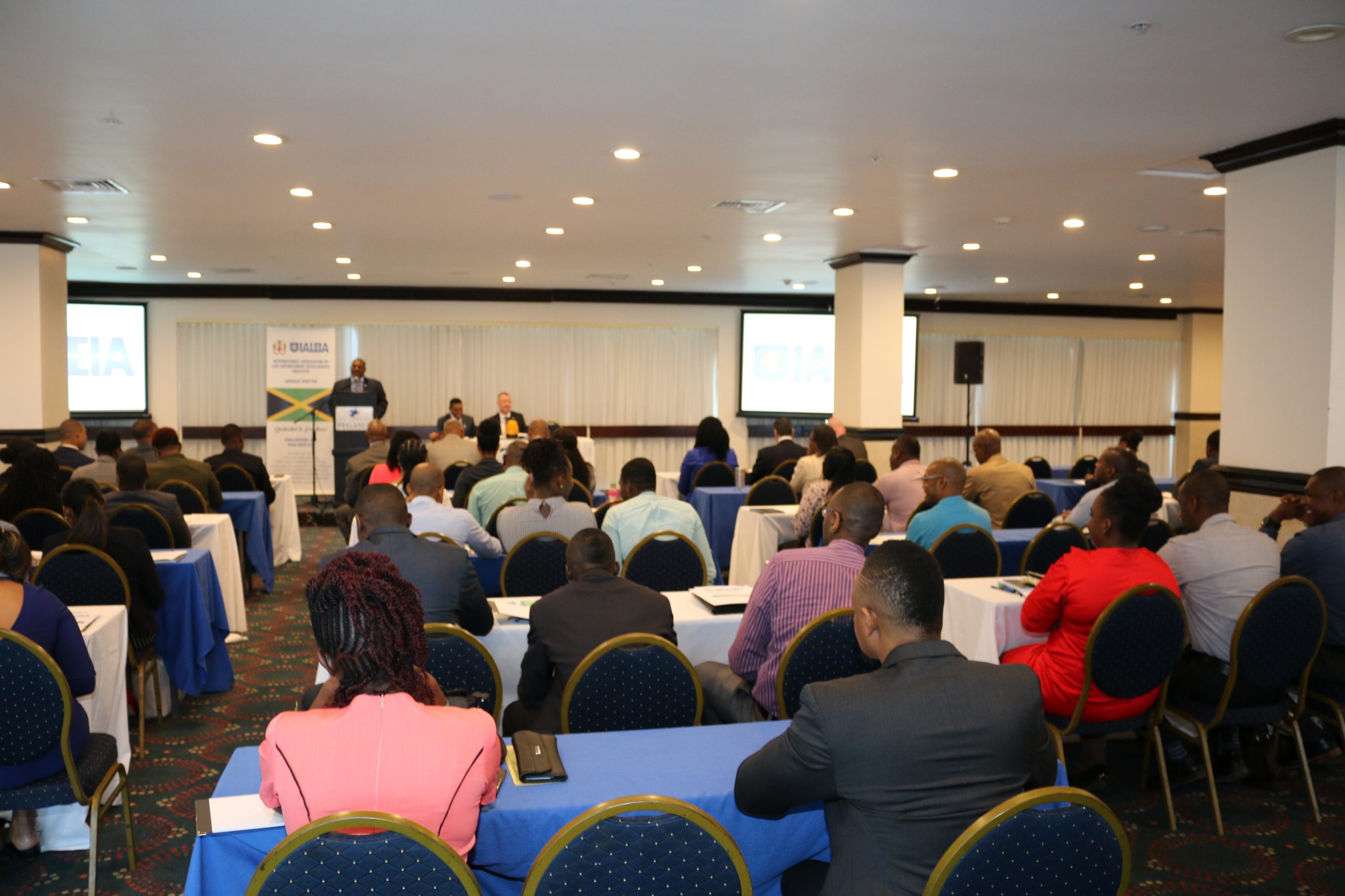 IALEIA Jamaica Chapter Seminar / Meeting November 2019